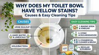 Why Does My Toilet Bowl Have Yellow Stains? Causes and Easy Cleaning Tips