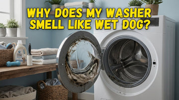 Why Does My Washer Smell Like Wet Dog?
