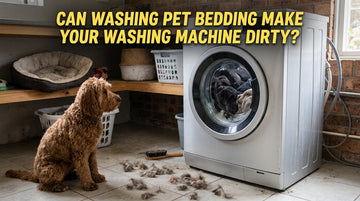 Can Pet Bedding Make Your Washing Machine Dirty? 