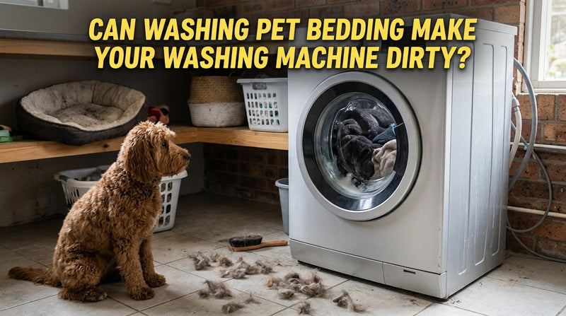 Can Pet Bedding Make Your Washing Machine Dirty? 