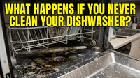 What Happens If You Never Clean Your Dishwasher?