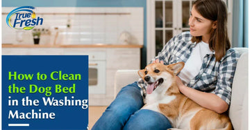 How to clean a dog bed