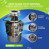 deep clean disposal with tablets