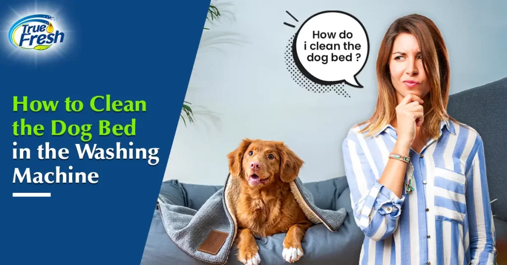 clean a dog bed
